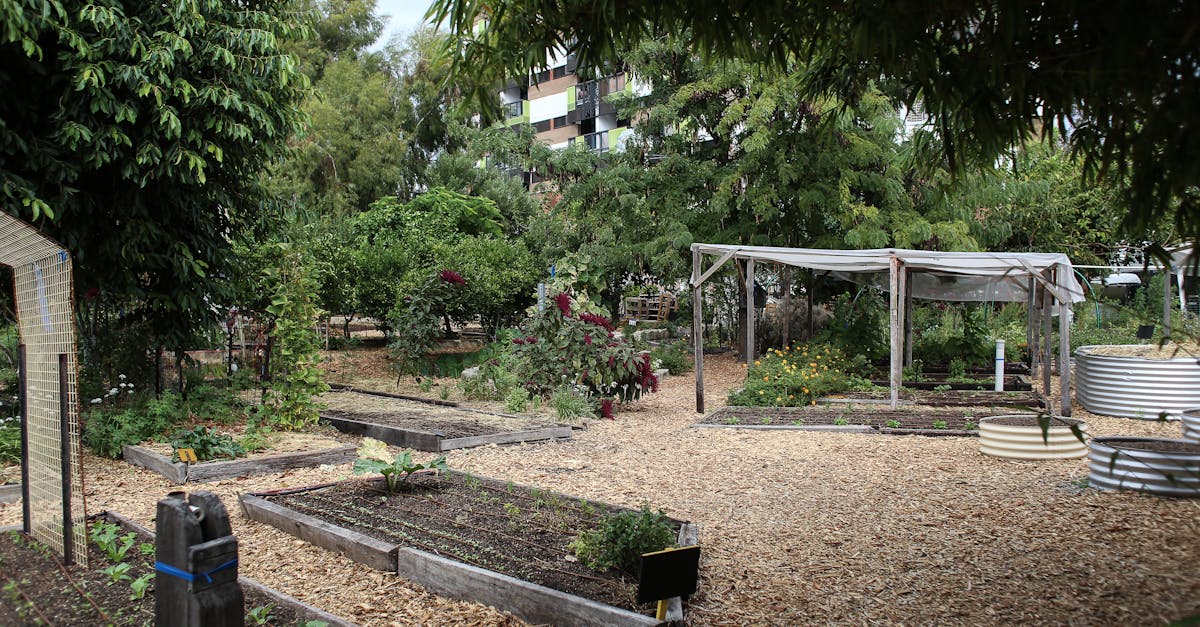 découvrez les pratiques de jardinage durable qui préservent l'environnement tout en créant un espace vert florissant. apprenez à cultiver des plantes de manière éco-responsable, à utiliser des techniques de compostage et à favoriser la biodiversité dans votre jardin.