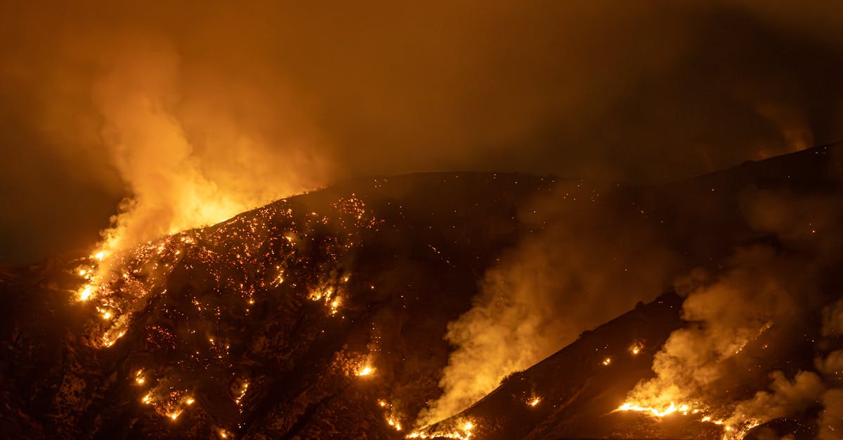 découvrez tout sur les incendies de forêt : leurs causes, leurs impacts sur l'environnement, la biodiversité et les communautés, ainsi que les mesures de prévention et de lutte à mettre en œuvre pour protéger notre planète.