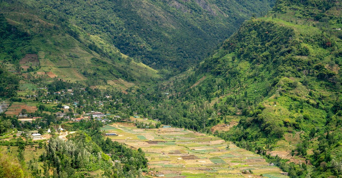 découvrez le tourisme durable : une approche respectueuse de l'environnement qui favorise la préservation des ressources naturelles tout en soutenant les communautés locales. explorez des destinations qui allient aventure, culture et responsabilité pour un voyage inoubliable.