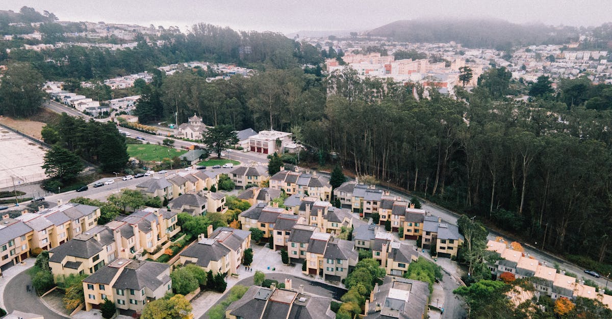 découvrez l'importance des espaces verts urbains pour améliorer la qualité de vie en ville. explorez leur rôle dans la biodiversité, le bien-être des habitants et la lutte contre le changement climatique.