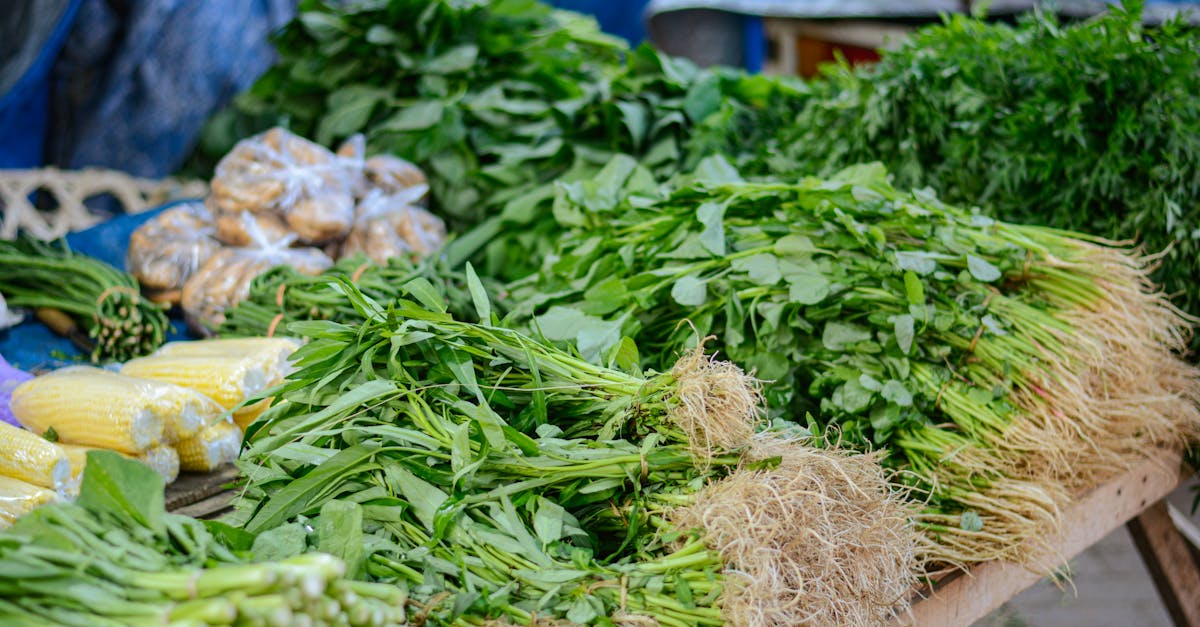 découvrez les systèmes alimentaires durables, leur importance pour notre planète et comment ils favorisent une agriculture responsable, réduisent le gaspillage et améliorent la santé. engagez-vous pour un avenir alimentaire plus éthique et respectueux de l'environnement.