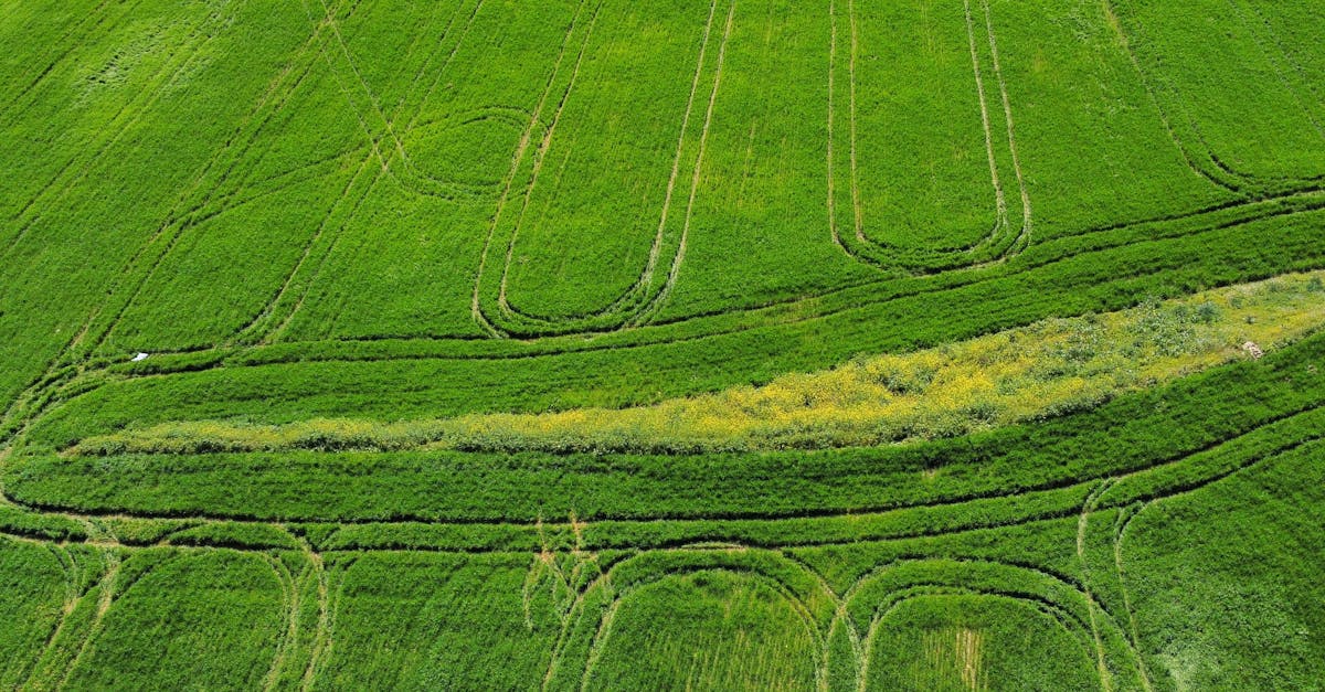 découvrez les accords climatiques, des engagements internationaux visant à lutter contre le changement climatique et à promouvoir un développement durable. informez-vous sur les enjeux cruciaux, les principaux acteurs et les résultats des négociations mondiales pour un avenir plus vert.