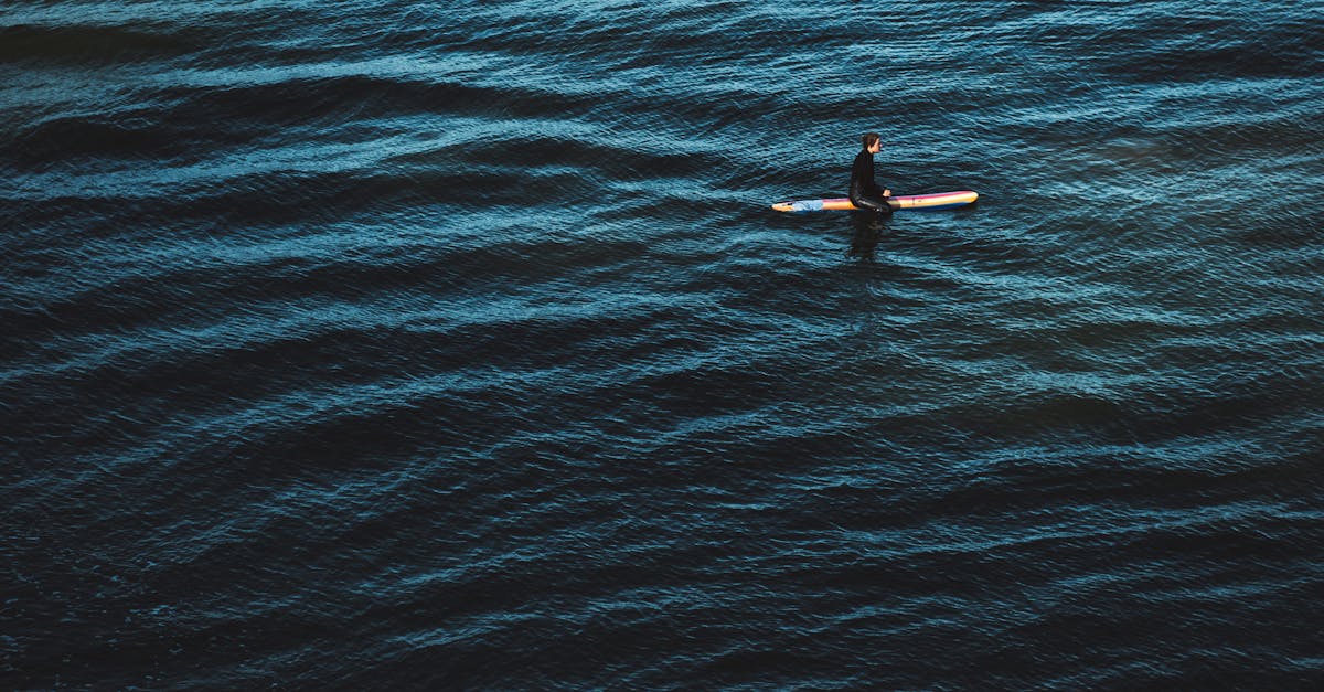 découvrez les effets dévastateurs des vagues de chaleur océaniques sur l'écosystème marin et le climat mondial. analysez comment ces phénomènes affectent la vie aquatique, exacerbent le changement climatique et influencent notre environnement.