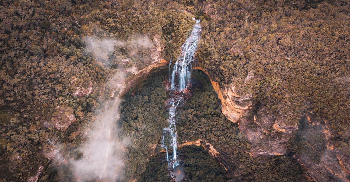 découvrez le tourisme durable, une approche qui préserve l'environnement tout en offrant des expériences authentiques. explorez des destinations qui respectent la nature et favorisent les communautés locales pour un voyage responsable et enrichissant.