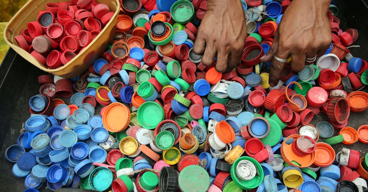 découvrez l'importance du recyclage et comment il contribue à la protection de l'environnement. apprenez des techniques pratiques pour recycler efficacement les matériaux et réduire votre empreinte écologique au quotidien.