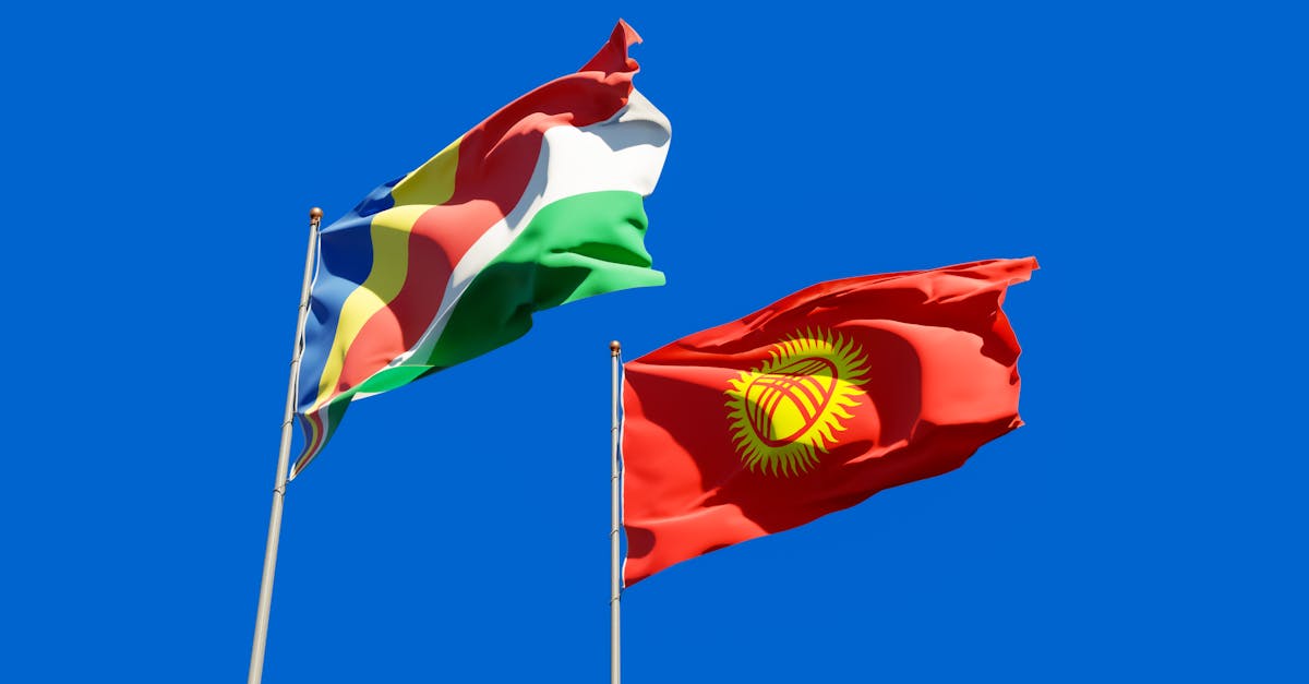découvrez comment la coopération internationale favorise la paix, le développement durable et l'échange culturel à travers le monde.