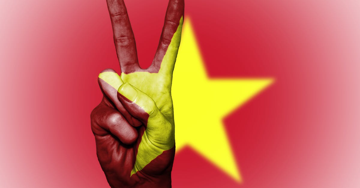 découvrez le vietnam, un pays fascinant aux paysages diversifiés, à la riche culture et à la délicieuse cuisine. explorez ses superbes rizières en terrasses, ses villes vibrantes comme hanoï et hô chi minh-ville, et plongez dans l'histoire millénaire de cette destination incontournable d'asie du sud-est.