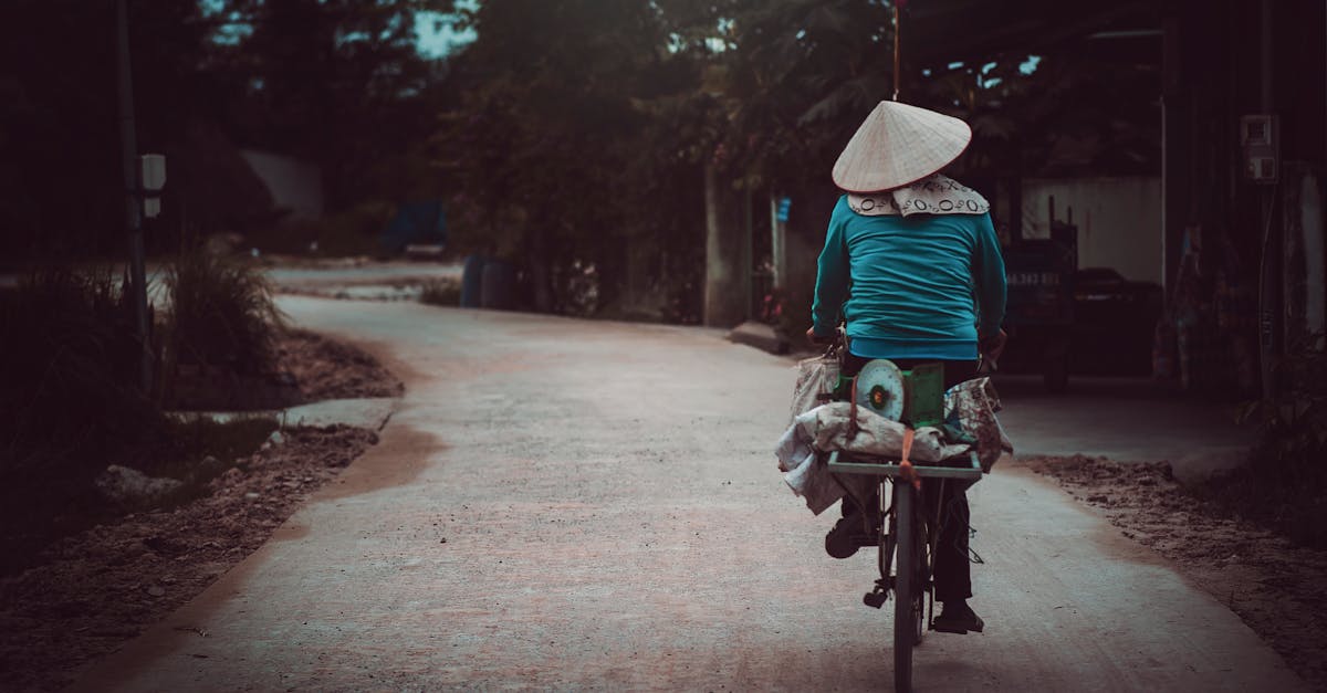 découvrez le vietnam, un pays riche en culture et en histoire, célèbre pour ses paysages époustouflants, sa cuisine délicieuse et son hospitalité chaleureuse. voyagez à travers ses villes vibrantes et ses rizières emblématiques pour une expérience inoubliable.