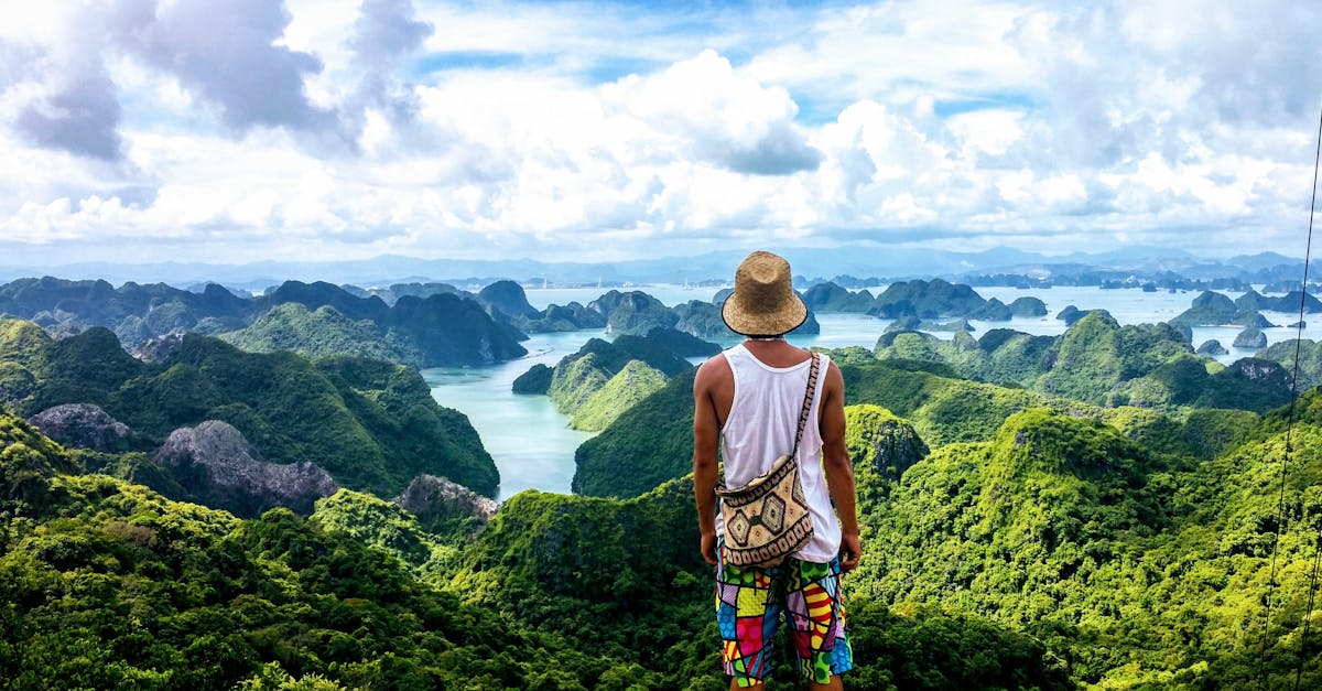 découvrez le vietnam, un pays riche en culture et en histoire, où des paysages époustouflants, une cuisine délicieuse et un accueil chaleureux vous attendent. explorez les rizières en terrasses, les villes vibrantes et les traditions ancestrales qui font de ce pays une destination incontournable.