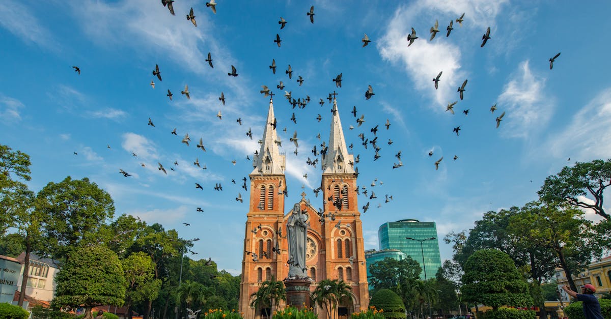 découvrez le vietnam, un pays aux paysages époustouflants, riche en culture et en histoire. explorez ses merveilles naturelles, ses délicieuses spécialités culinaires et l'hospitalité chaleureuse de ses habitants.