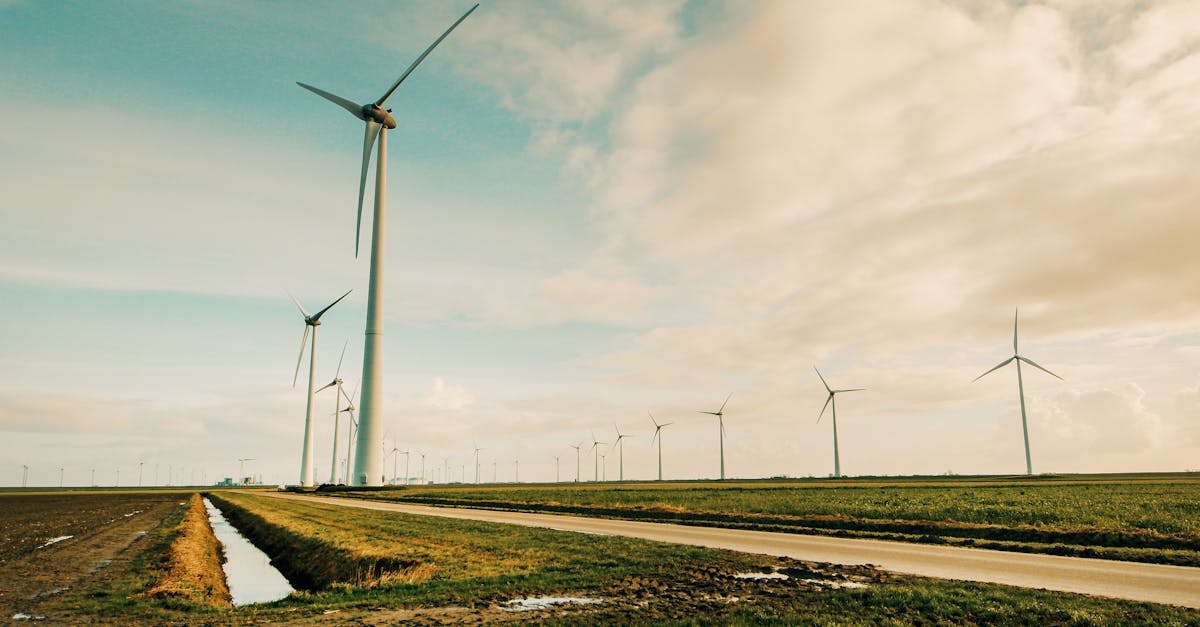 découvrez l'importance des infrastructures vertes pour un urbanisme durable. apprenez comment elles contribuent à la gestion des eaux pluviales, à la biodiversité urbaine et à l'amélioration de la qualité de l'air, tout en créant des espaces de vie agréables.