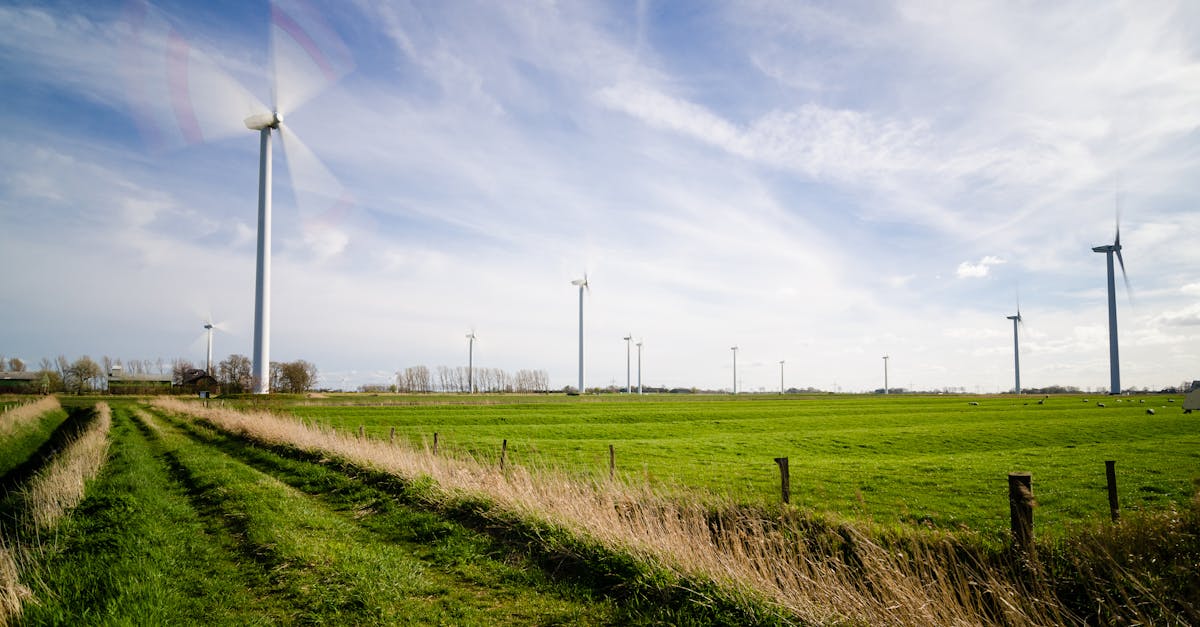 Progrès écologiques : des avancées significatives pour l’environnement