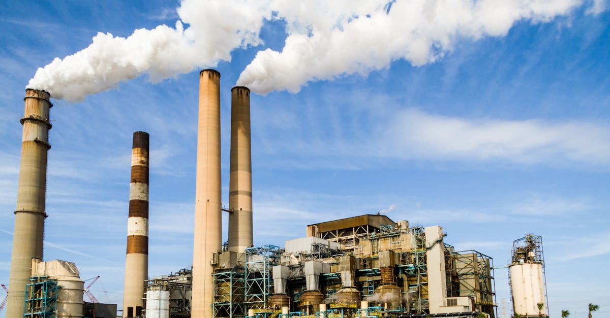 découvrez les enjeux environnementaux majeurs qui impactent notre planète, des changements climatiques à la gestion des ressources naturelles. informez-vous sur les solutions et actions possibles pour un avenir durable.