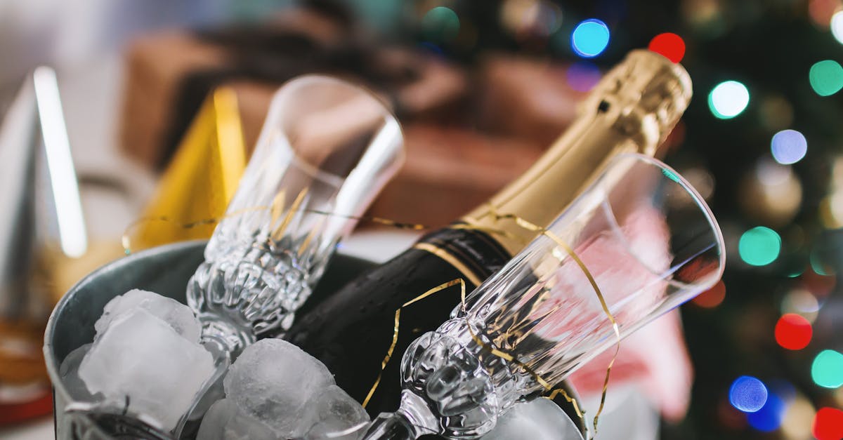 Vignoble de Champagne : l’alliance de la durabilité et des traditions face aux défis climatiques
