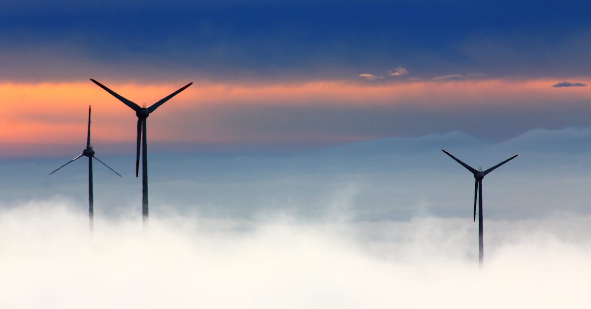 Vingt startups choisies à Cannes pour booster l’innovation climatique lors du 4e Accélérateur de solutions-climat