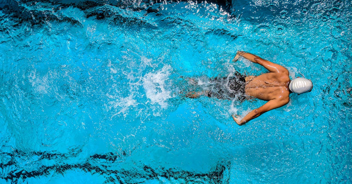 découvrez l'univers fascinant des athlètes, de leurs entraînements rigoureux à leurs performances inspirantes. plongez dans les récits de passion, de détermination et d'excellence sportive. que vous soyez fan de sport ou simplement curieux, explorez les parcours uniques de ceux qui repoussent les limites de l'effort humain.