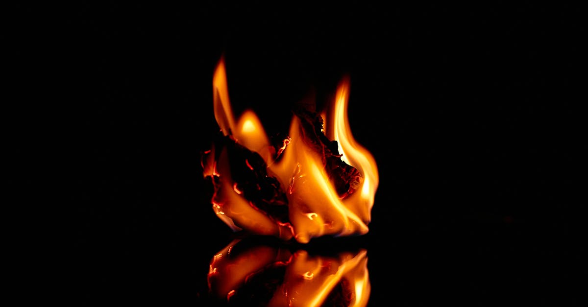découvrez comment la compensation carbone contribue à réduire votre empreinte écologique. apprenez les moyens d'équilibrer vos émissions de co2 grâce à des projets durables et responsables, tout en participant à la lutte contre le changement climatique.