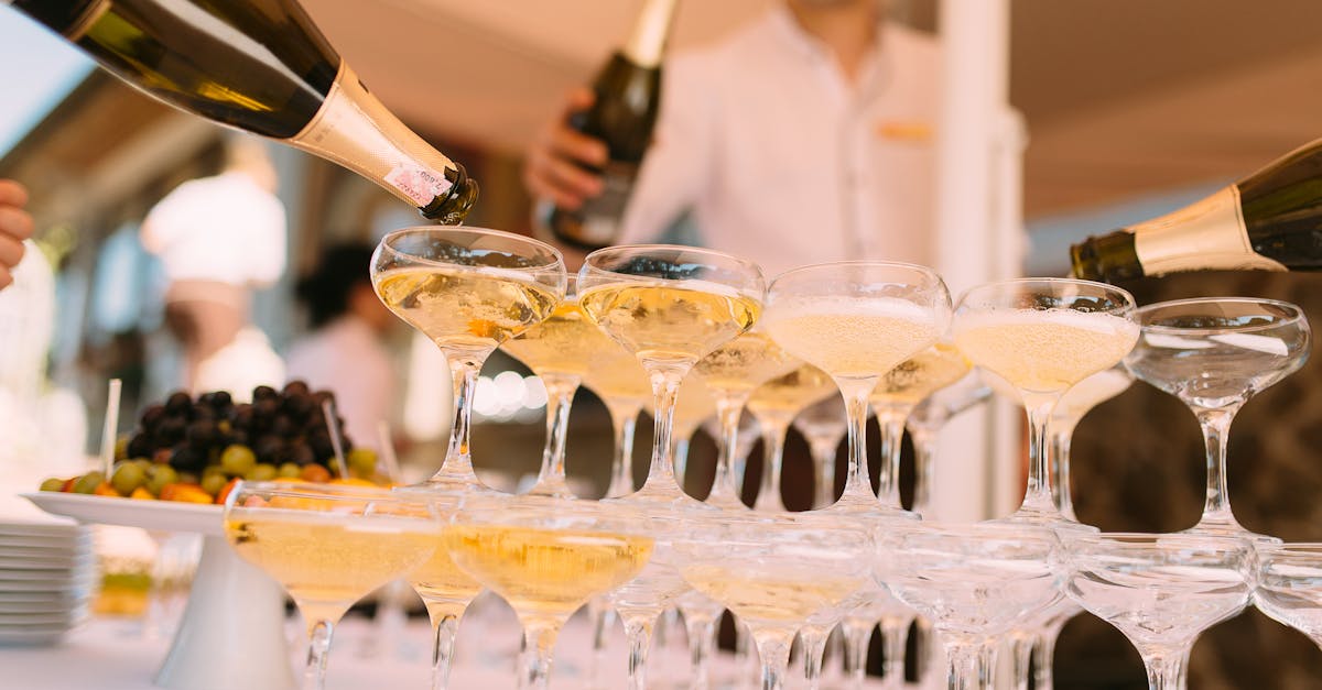 découvrez l'univers du champagne : un voyage à travers les cépages, les terroirs et les traditions viticoles. explorez les différents types de champagne, des plus classiques aux millésimés exceptionnels, pour des moments de fête inoubliables.