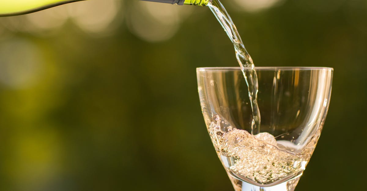 découvrez l'univers pétillant du champagne, cette boisson emblématique de la fête et du raffinement. apprenez tout sur ses variétés, ses cépages, et comment bien le déguster. idéale pour célébrer les moments précieux de la vie, le champagne est un symbole de luxe et d'élégance.