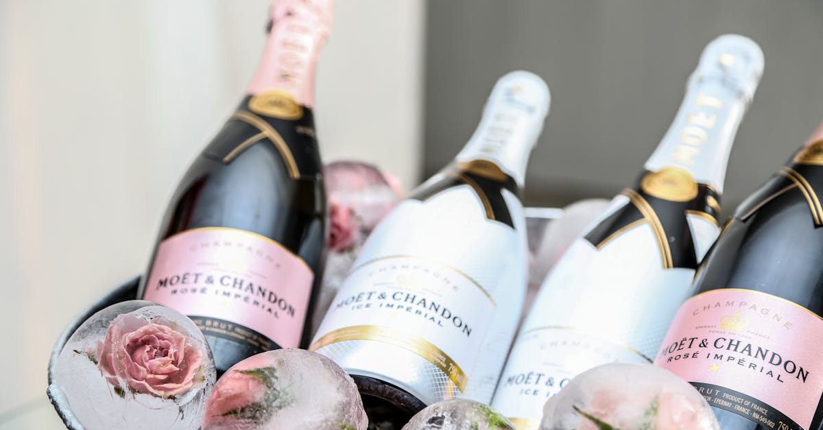 découvrez l'univers raffiné du champagne, une boisson pétillante emblématique de célébrations. explorez les différents types de champagnes, leurs accords mets et vins, ainsi que l'art de la dégustation pour apprécier chaque bulle. laissez-vous séduire par l'élégance et la richesse des terroirs français.