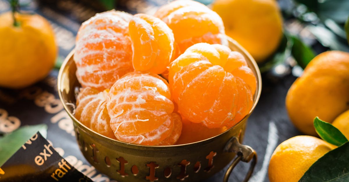 découvrez l'univers des agrumes, des fruits éclatants de saveurs et de couleurs, tels que les oranges, citrons et pamplemousses. apprenez tout sur leurs bienfaits pour la santé, leurs variétés et comment les intégrer dans votre alimentation quotidienne.