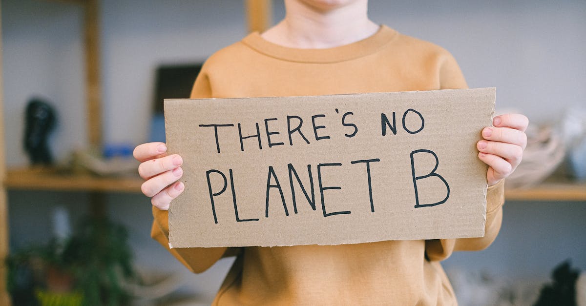 découvrez l'importance de la sensibilisation au climat et comment chaque action compte pour protéger notre planète. explorez des conseils pratiques, des solutions durables et rejoignez le mouvement pour un avenir plus vert.
