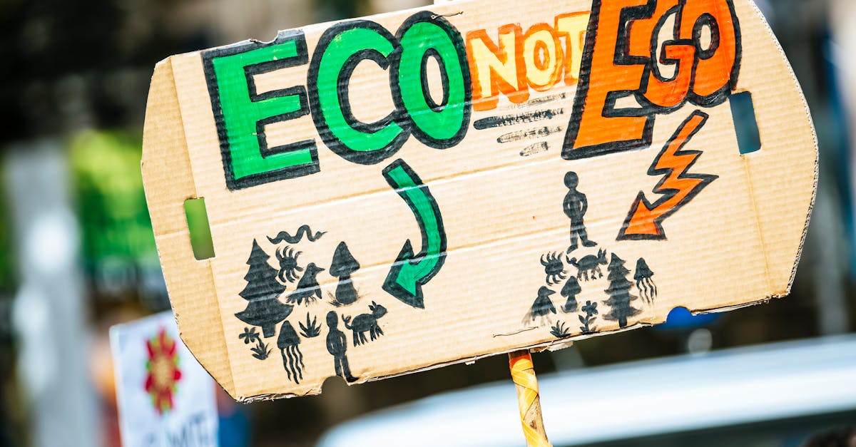 découvrez l'importance de la sensibilisation au climat et son impact sur notre avenir. informez-vous sur les enjeux environnementaux actuels et apprenez comment votre engagement peut contribuer à un monde plus durable.