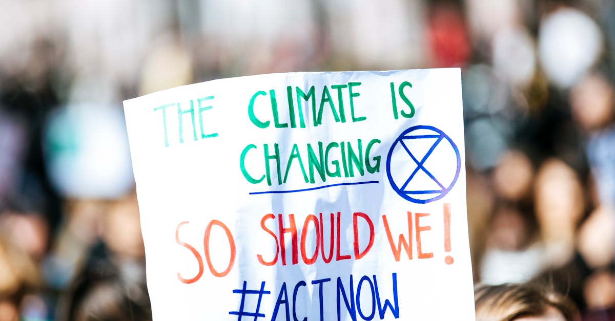 découvrez les enjeux et les impacts du changement climatique sur notre planète. explorez les solutions durables pour atténuer les effets du réchauffement global et protéger notre environnement pour les générations futures.