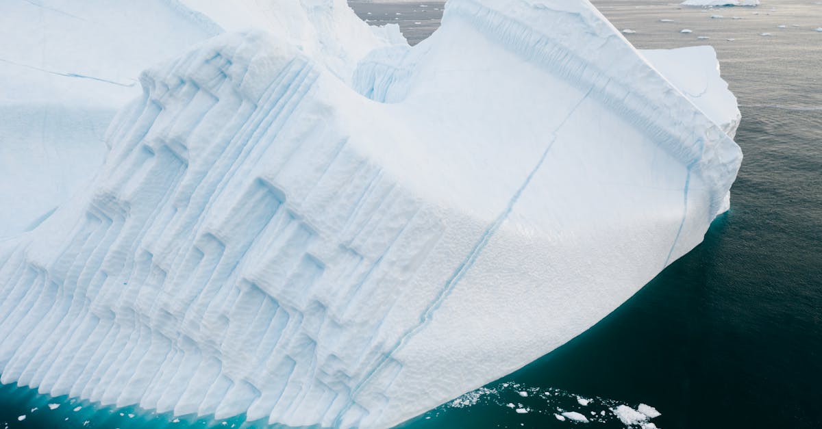 découvrez les impacts du changement climatique sur notre planète, de la montée des eaux à la perte de biodiversité. informez-vous sur les effets environnementaux, économiques et sociaux et explorez les solutions pour un avenir durable.