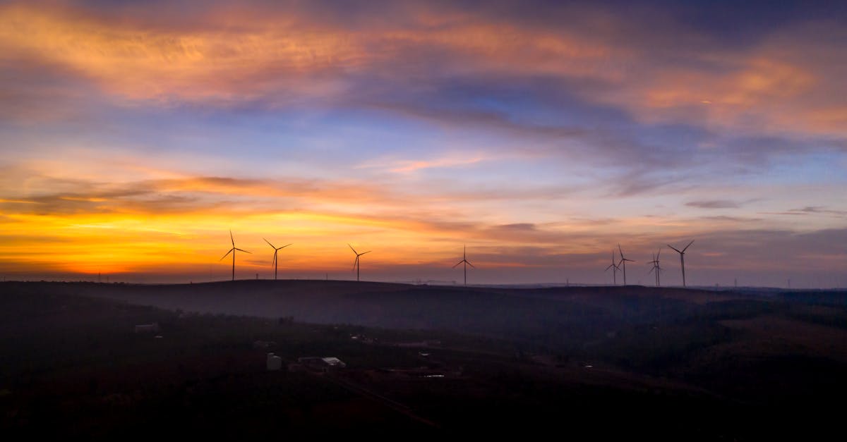 découvrez les dernières innovations climatiques qui transforment notre façon de lutter contre le changement climatique. explorez des solutions durables, des technologies avancées et des initiatives ambitieuses visant à protéger notre planète et à favoriser un avenir plus vert.