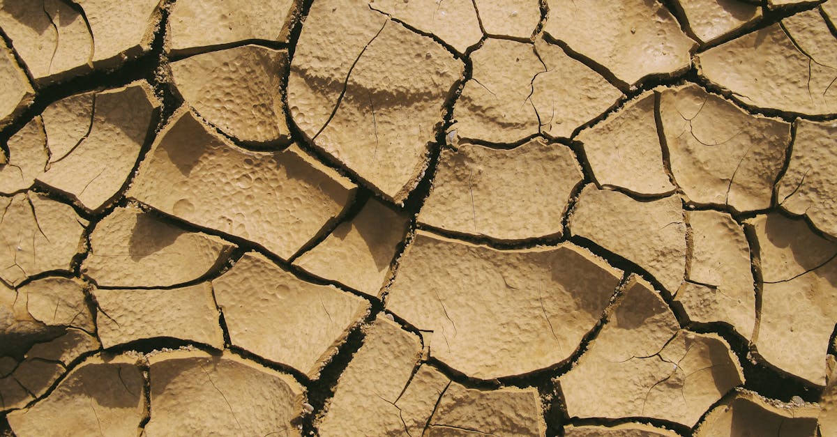 découvrez tout sur les séismes : causes, mécanismes, conséquences et prévention. informez-vous sur les tremblements de terre pour mieux comprendre ce phénomène naturel impressionnant et ses impacts sur notre planète.