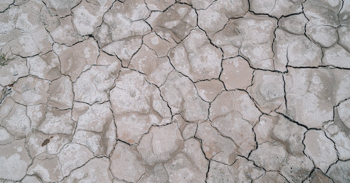 découvrez tout sur les tremblements de terre : causes, mécanismes, impacts sur l'environnement et les populations. restez informé sur les dernières actualités et avancées en matière de prévention et de sécurité face à ces phénomènes naturels.
