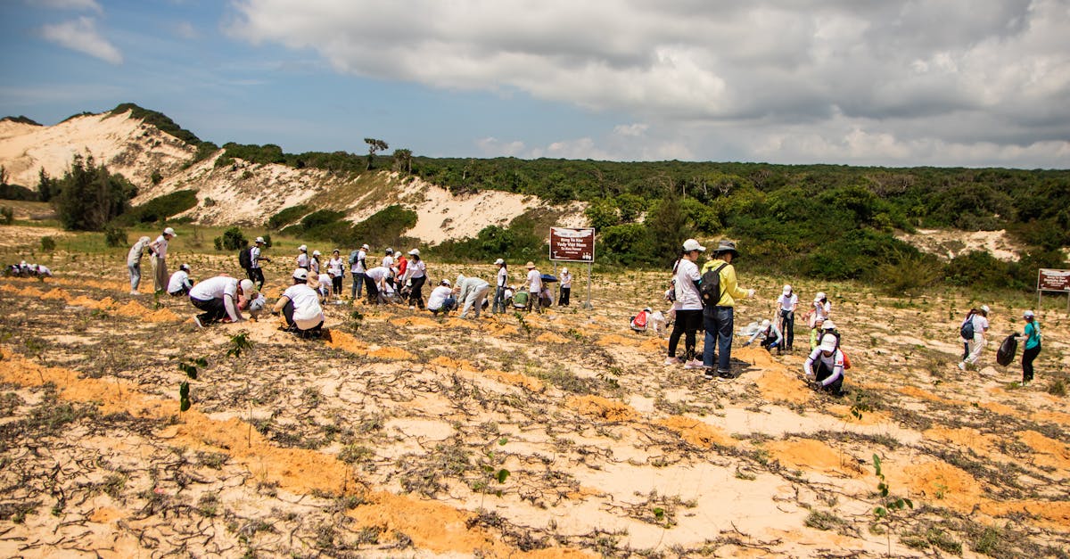 découvrez les initiatives écologiques qui transforment notre monde. explorez des projets innovants, des pratiques durables et des actions communautaires qui contribuent à la préservation de l'environnement et à la lutte contre le changement climatique.