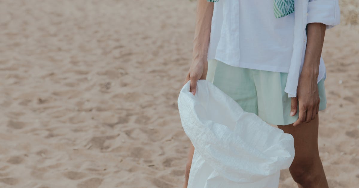 découvrez des initiatives écologiques innovantes qui favorisent la durabilité et la protection de notre planète. engagez-vous dans des actions concrètes pour un avenir plus vert et sain.