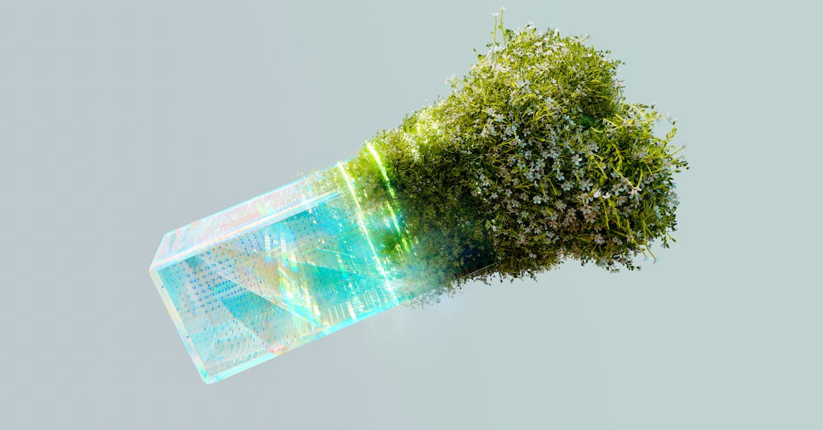découvrez comment le progrès écologique transforme notre société, en mettant en avant des initiatives innovantes, des technologies durables et des actions concrètes pour préserver notre planète. rejoignez le mouvement en faveur d'un avenir plus vert.