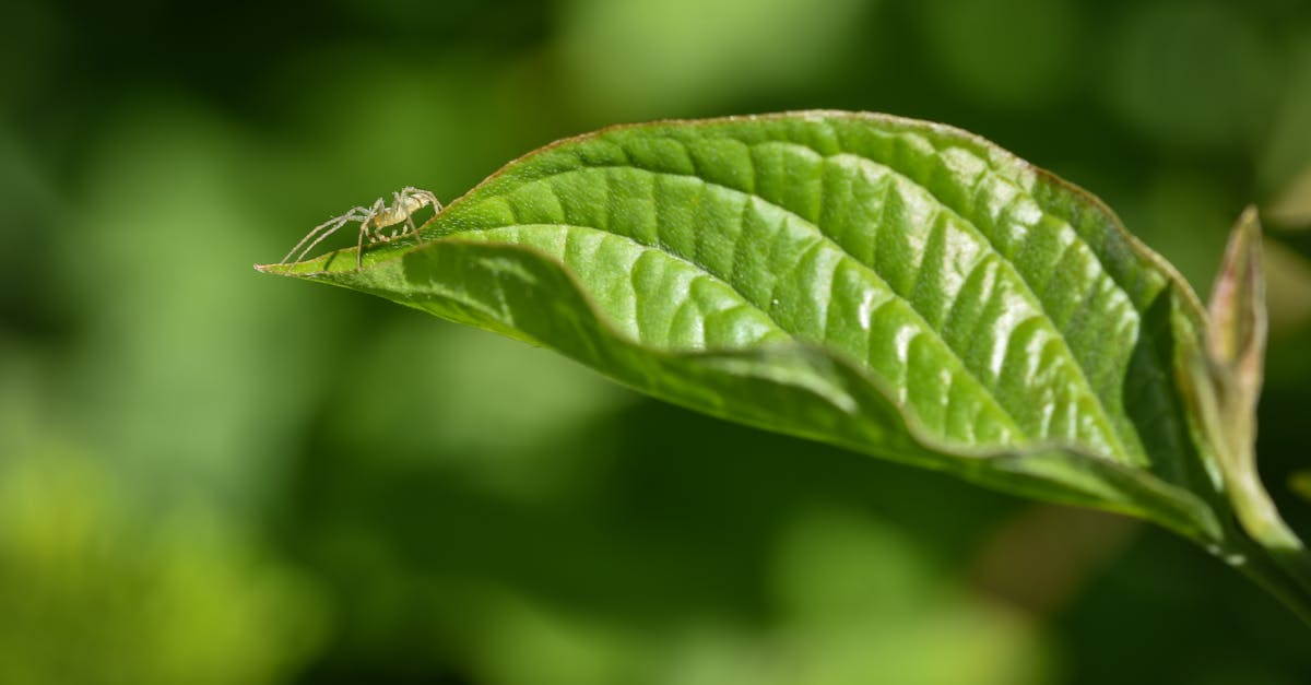 découvrez les coûts environnementaux liés aux activités humaines et leur impact sur la planète. cette exploration met en lumière les enjeux écologiques et économiques, ainsi que des solutions pour un avenir plus durable.