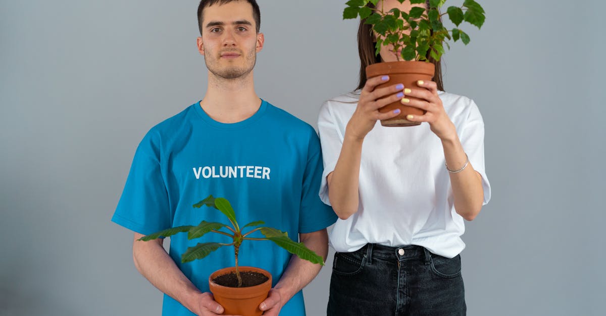 découvrez des initiatives environnementales innovantes et inspirantes qui visent à protéger notre planète. explorez des projets durables, des actions communautaires et des stratégies efficaces pour un avenir plus vert.