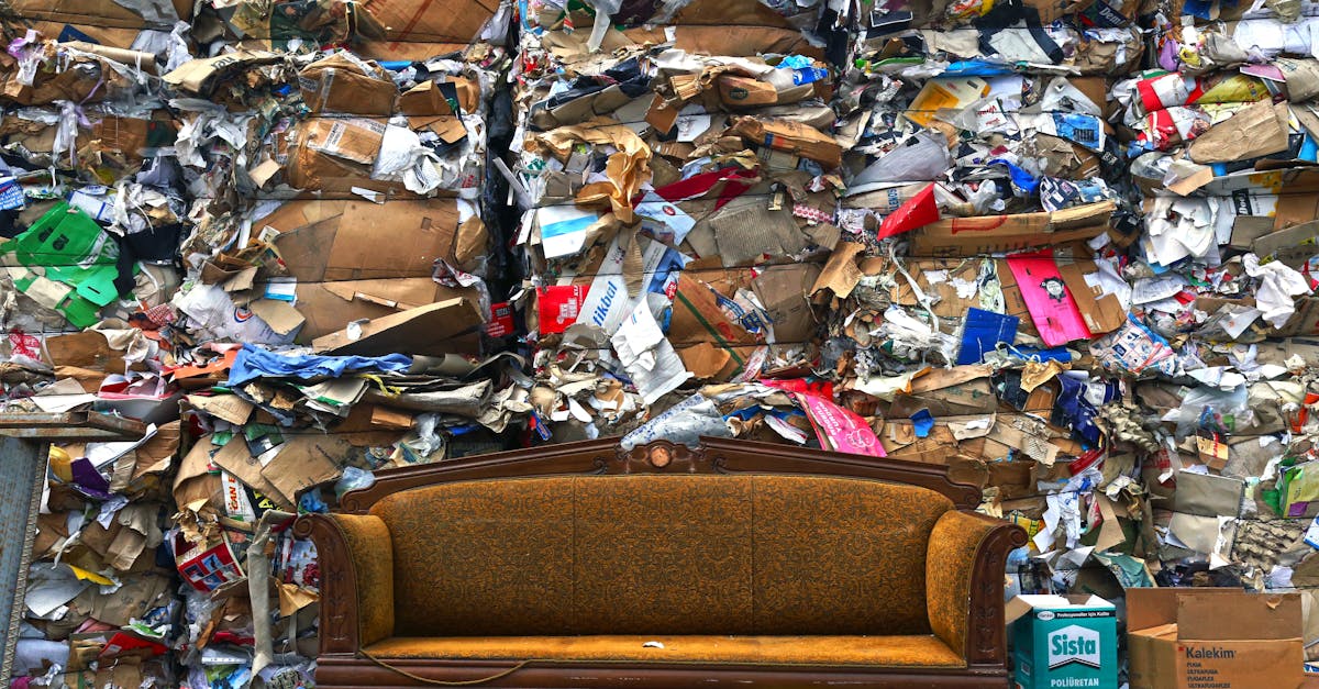 découvrez les enjeux environnementaux majeurs qui impactent notre planète aujourd'hui. analyse des problèmes de pollution, de changement climatique et de biodiversité, ainsi que des solutions pour un avenir durable.