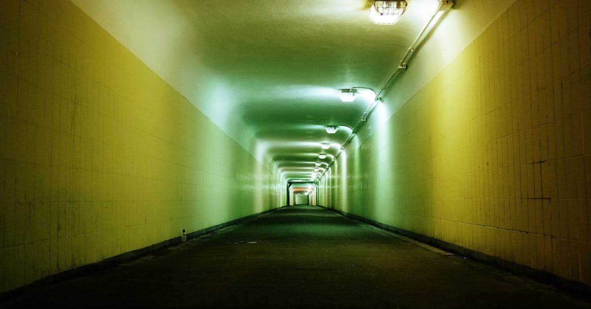 découvrez les infrastructures vertes, une approche durable pour améliorer le cadre de vie urbain tout en préservant l'environnement. apprenez comment ces solutions innovantes, telles que les jardins sur les toits, les murs végétaux et les parcs urbains, contribuent à la gestion des eaux pluviales, à la biodiversité et à la qualité de l'air.