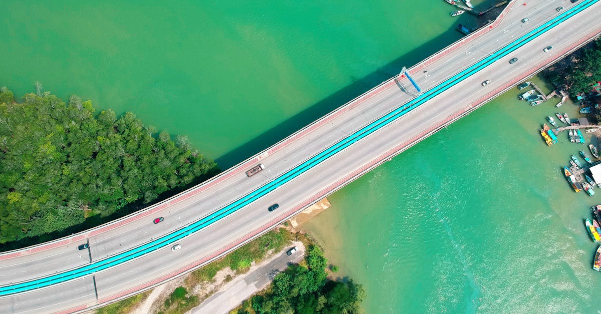 découvrez comment les infrastructures vertes révolutionnent nos environnements urbains en améliorant la durabilité, la biodiversité et la qualité de vie. explorez les bienfaits des solutions naturelles pour lutter contre les défis environnementaux modernes.