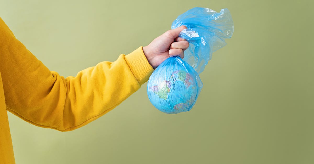 découvrez des stratégies efficaces pour réduire la pollution et préserver notre environnement. informez-vous sur les actions que chacun peut entreprendre pour minimiser son impact écologique et contribuer à un avenir plus sain.