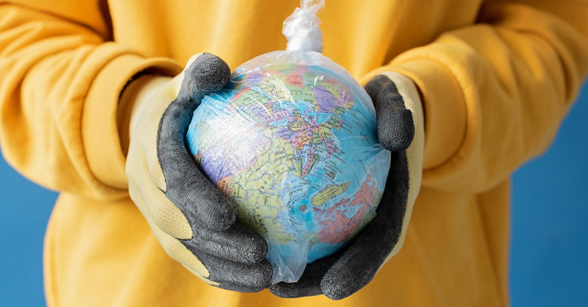 découvrez des stratégies efficaces pour la réduction de la pollution et ses impacts positifs sur l'environnement. apprenez comment adopter des gestes écologiques au quotidien pour contribuer à un avenir plus sain.