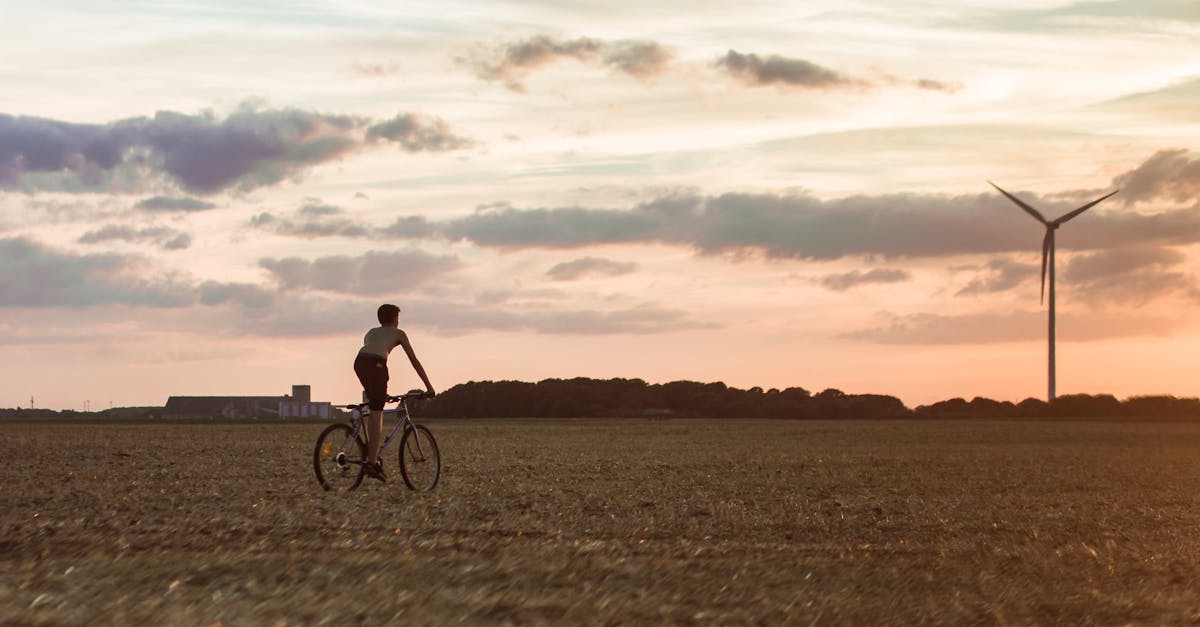 découvrez l'importance de la durabilité et comment nos actions peuvent contribuer à un avenir plus vert. explorez des pratiques écoresponsables, des solutions innovantes et des conseils pour adopter un mode de vie durable au quotidien.