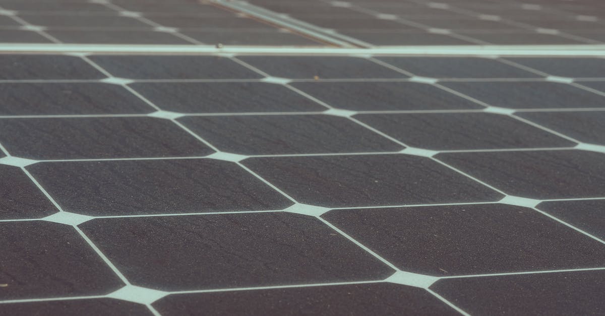 découvrez des solutions durables innovantes pour un avenir écologique. explorez des pratiques respectueuses de l'environnement, des technologies vertes et des initiatives qui favorisent la durabilité tout en répondant aux besoins contemporains.