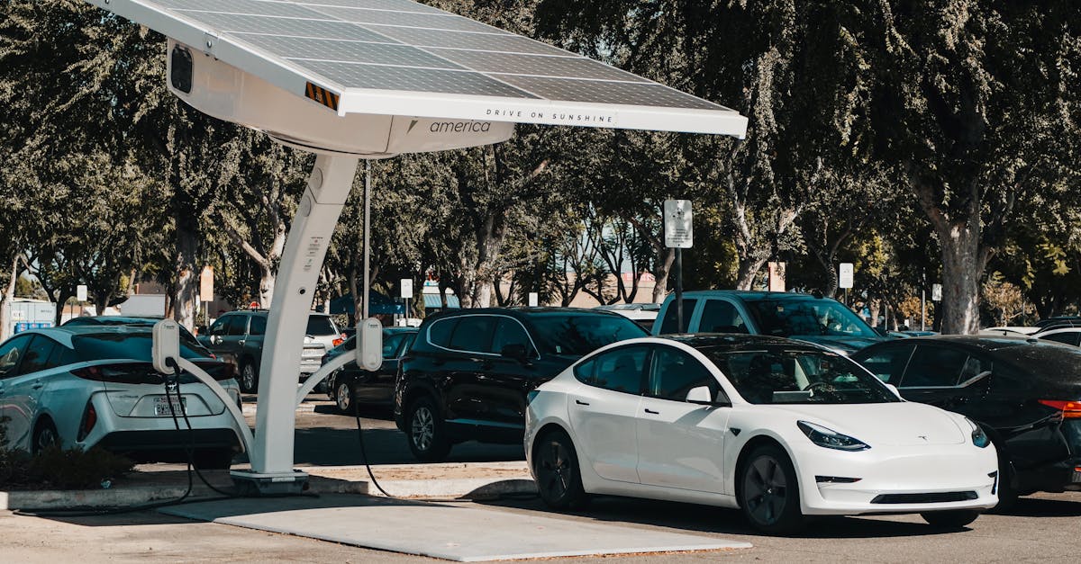 découvrez les technologies durables qui façonnent un avenir plus vert. explorez des innovations respectueuses de l'environnement, des solutions énergétiques renouvelables et des pratiques écologiques qui propulsent notre société vers un développement durable.
