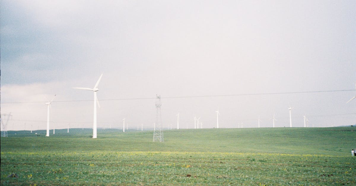 découvrez les enjeux et solutions de la transition durable dans cet article. apprenez comment les entreprises et les individus peuvent adopter des pratiques écoresponsables pour un avenir plus vert et résilient.