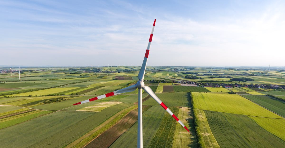 découvrez les clés de la transition durable : des solutions innovantes pour réduire votre empreinte écologique, préserver les ressources naturelles et promouvoir un développement respectueux de l'environnement.