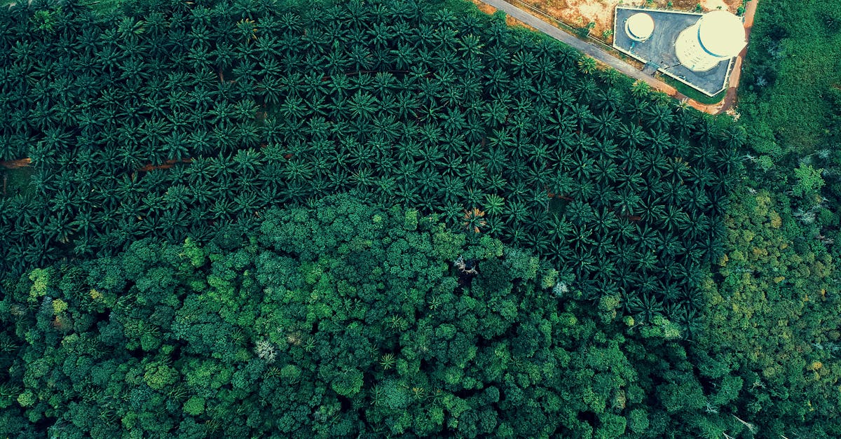 découvrez comment effectuer une transition durable grâce à des pratiques écologiques et responsables. explorez des solutions innovantes pour réduire votre empreinte carbone et contribuer à un avenir respectueux de l'environnement.