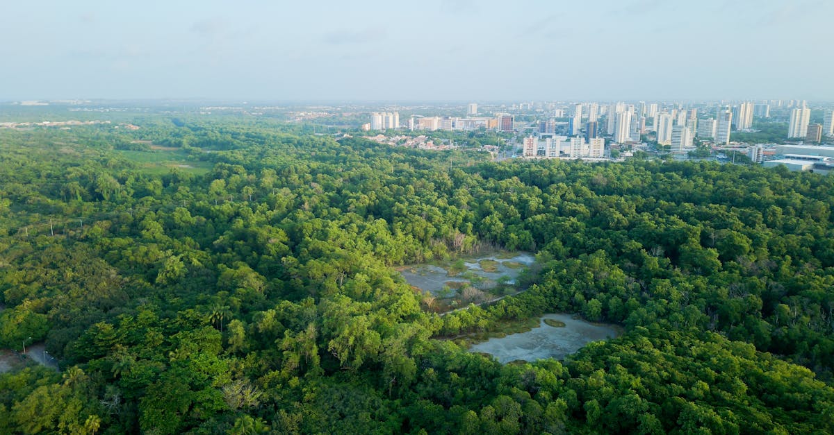 découvrez comment une planification urbaine durable transforme nos villes en espaces écologiques et résilients. explorez les stratégies innovantes qui favorisent le développement durable, l'intégration des espaces verts et l'amélioration de la qualité de vie des citoyens.