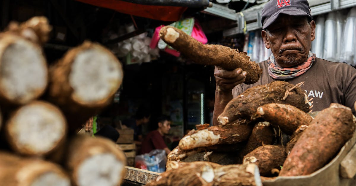 découvrez l'économie symbiotique, un modèle innovant qui prône la collaboration et l'échange mutuellement bénéfique entre entreprises et écosystèmes. explorez comment cette approche durable révolutionne la création de valeur et favorise un impact positif sur la société.